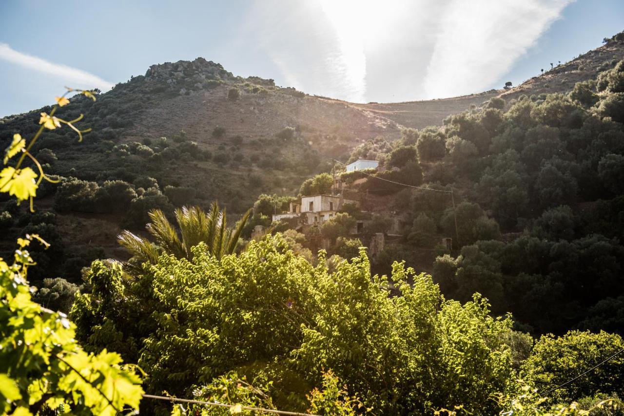 Villa Spitia Anoi Palaiochora Exterior foto
